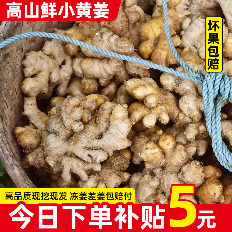 广西新小黄姜5斤生姜现挖新鲜嫩姜蔬菜生姜老姜月子姜生姜9斤包邮