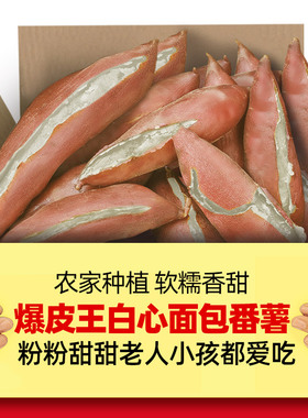 正宗高州爆皮王白心面包番薯5-9斤王红薯新鲜粉糯香农家板栗地瓜