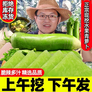 农家现拔水果青萝卜10斤甜脆型潍坊萝卜新鲜潍县沙窝绿萝卜生吃5