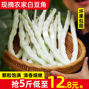 东北芸豆角新鲜四季豆白豆角扁豆5斤包邮老来少东北豆角现摘蔬菜