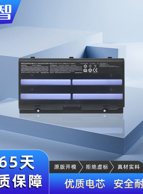 神舟Z6-SL7D1SL7D2电池蓄智