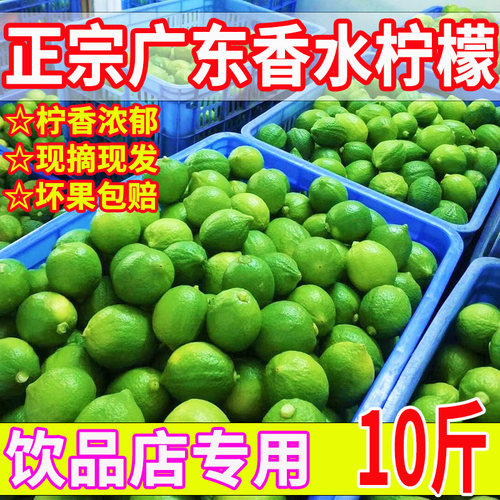 广东香水柠檬无籽现摘10斤青柠檬