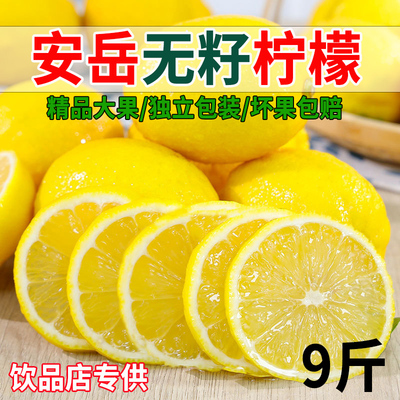 四川安岳无籽黄柠檬少籽新鲜水果一级奶茶店专用香水柠檬产地直发