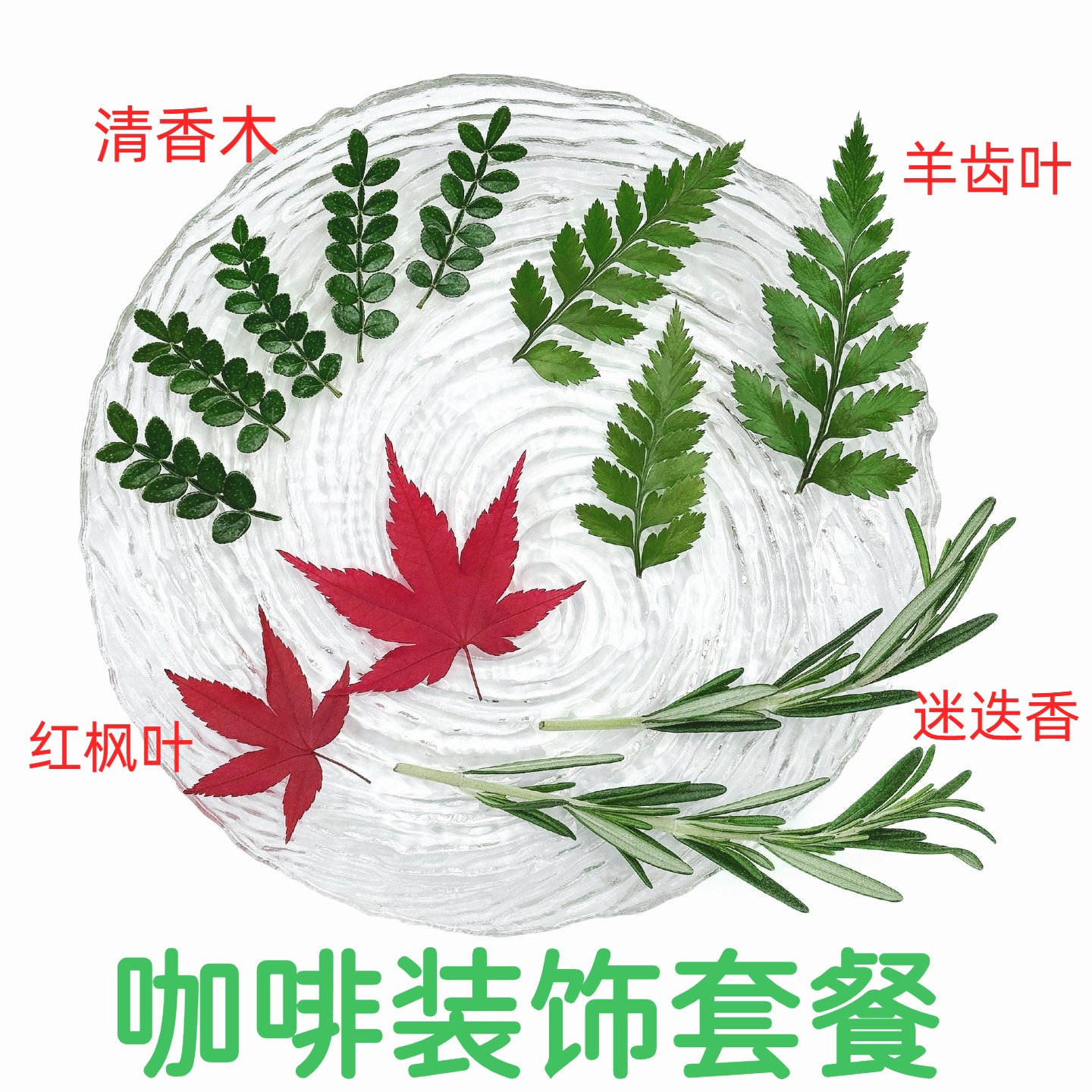 咖啡性价比装饰套餐1盒4款真空包装红枫叶清香木迷迭香芽羊齿叶图片