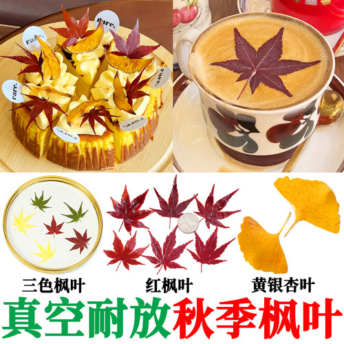 秋季网红饮品咖啡点缀红枫叶调酒蛋糕烘焙食品摆盘装饰叶子枫叶