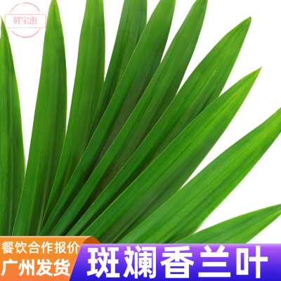 新鲜斑斓叶食用香兰叶榨汁千层蛋糕烘焙奶茶鸡尾酒装饰叶子摆盘