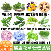 酒店宴席刺身蛋糕装 饰叶子 饰摆盘花草清香木三色堇薄荷鸡尾酒装