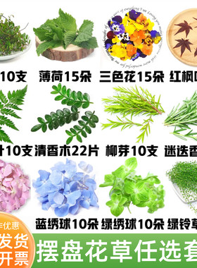 酒店宴席刺身蛋糕装饰摆盘花草清香木三色堇薄荷鸡尾酒装饰叶子