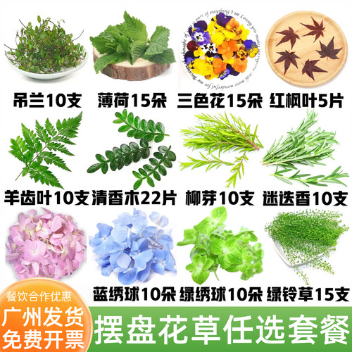 酒店宴席刺身蛋糕装饰摆盘花草清香木三色堇薄荷鸡尾酒装饰叶子