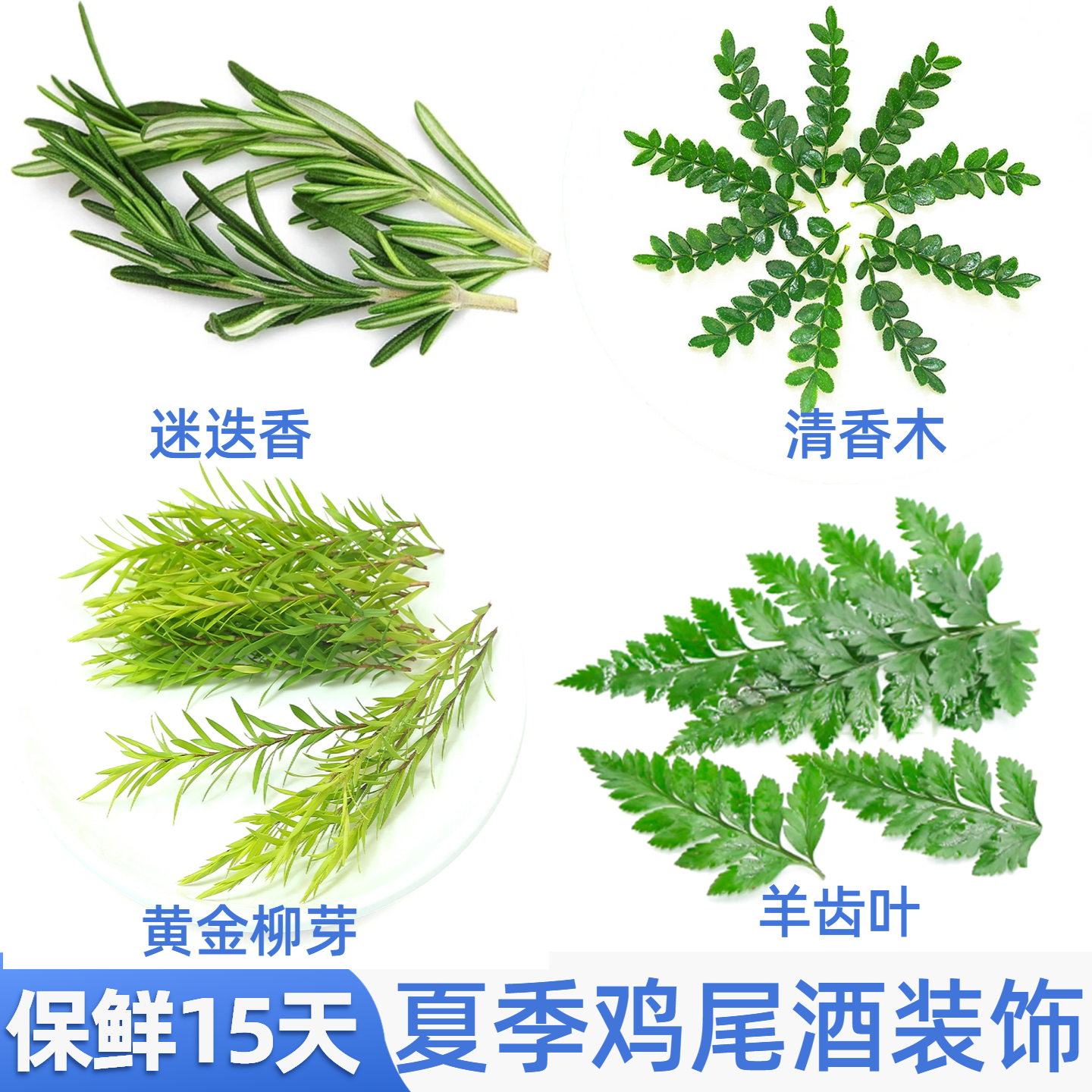 夏季鸡尾酒保存时间长装饰花草组合调酒饮品点缀清香木叶子羊齿叶