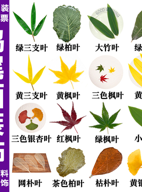 鸡尾酒饮品装饰叶子酒签摆件蛋糕烘焙红枫叶竹叶日料刺身摆盘装饰