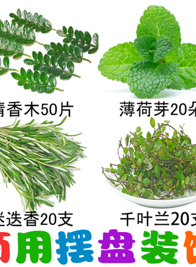 蛋糕烘焙甜品装饰点缀绿叶清香木迷迭香咖啡鸡尾酒商用摆盘花草