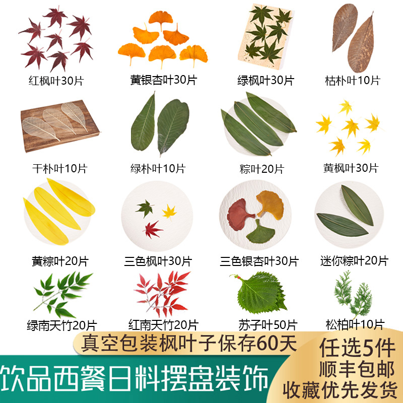 新鲜粽叶竹叶红枫叶摆盘装饰叶子