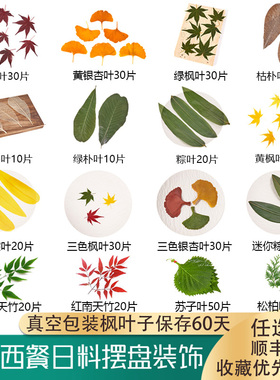 新鲜真空包装红枫叶南天竹叶子三色枫叶朴叶西餐日料寿司摆盘装饰