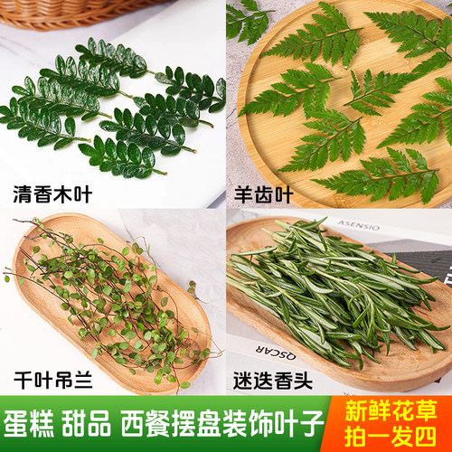 新鲜摆盘装饰花草烘焙甜品点缀