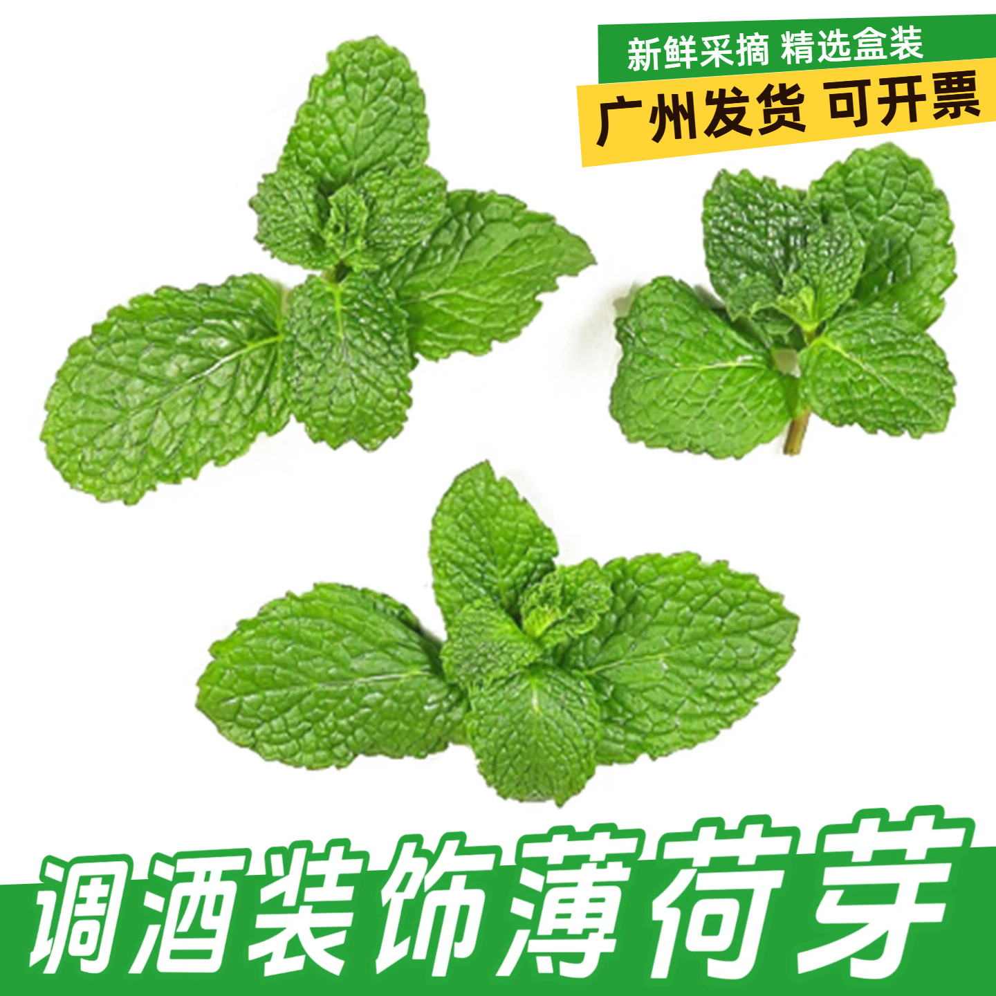 夏季鸡尾酒调酒饮料点缀薄荷芽食品蛋糕烘焙西餐冷菜摆盘装饰花草