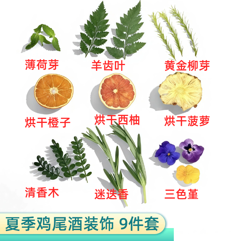 夏季鸡尾酒装饰点缀新鲜花草烘干水果黄金柳芽烘干西柚菠萝橙子