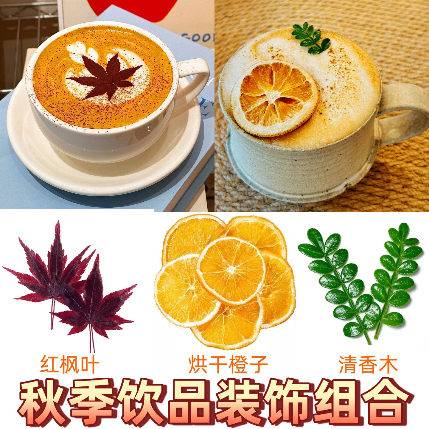 秋季咖啡饮品卡布奇诺装饰点缀真空红枫叶清香木烘干橙子片枫树叶