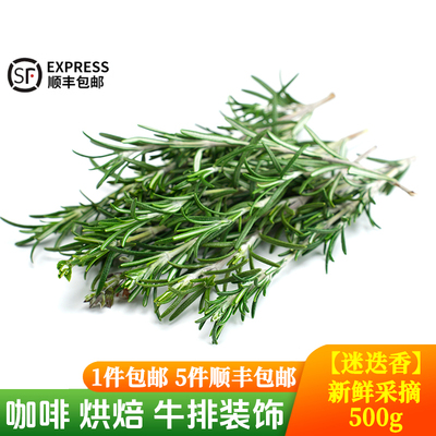 迷迭香牛排咖啡烘焙摆盘花草香料