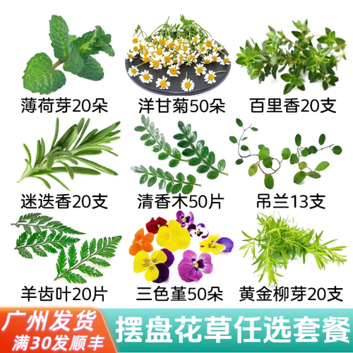 广州食品摆盘装饰花草