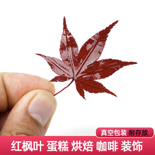 新鲜红枫叶真空盐渍树叶三色枫叶秋冬咖啡西餐蛋糕烘焙摆盘装饰叶
