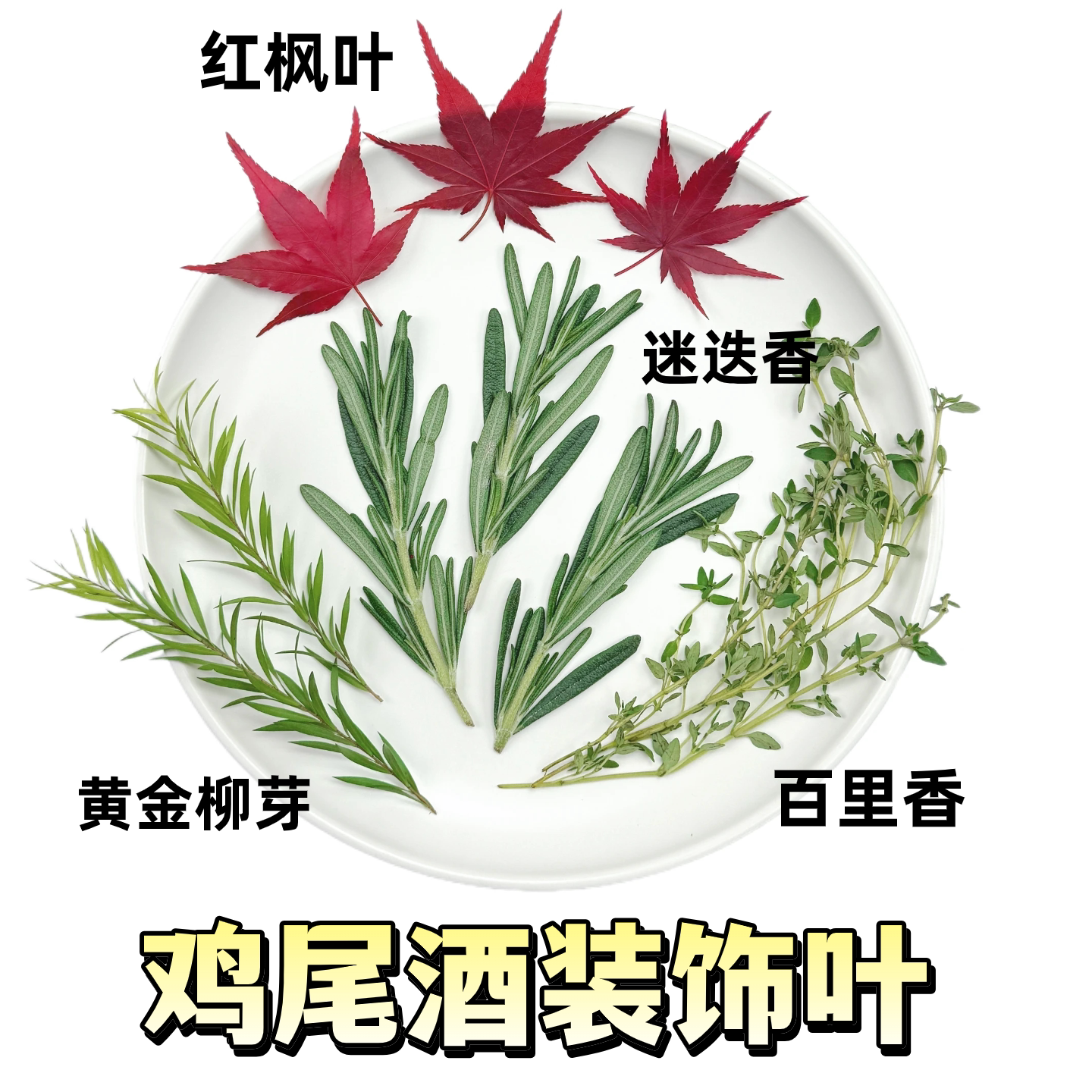 夏季饮品摆盘红枫叶迷迭香黄金柳芽百里香鸡尾酒装饰叶爆款组合图片