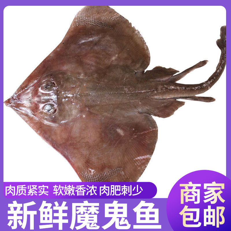 海鲜魔鬼鱼老板鱼新鲜笑脸鱼蝶鱼鳐鱼软骨锅盖鱼劳子鱼鱼海鲜水产