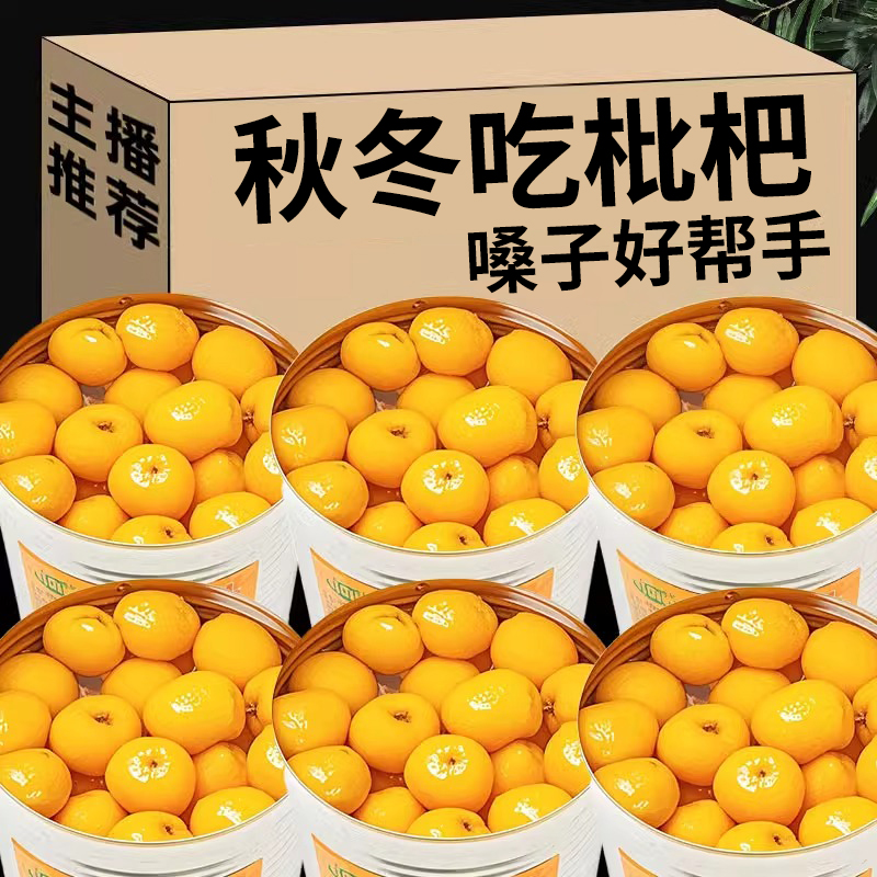 枇杷罐头大果秋冬润肺枇杷