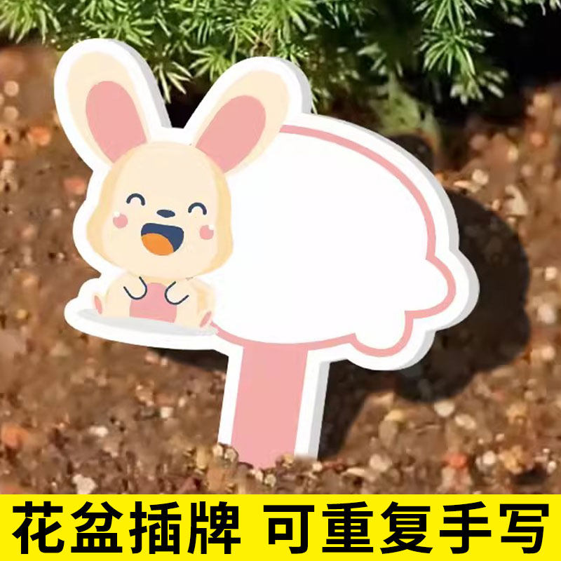 幼儿园植物标签插牌多肉标签插牌盆栽标签植物介绍牌花盆小菜园diy