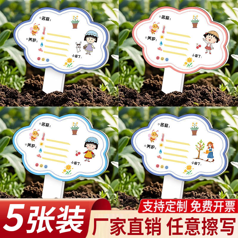 植物标签插牌幼儿园绿植养护卡片