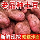 云南新鲜红皮黄心大土豆10斤 2025新农家红洋芋粉面高山马铃薯 包邮