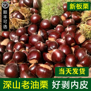 云南板栗生板栗生吃野生毛栗子农家现摘油栗板栗 甜度好