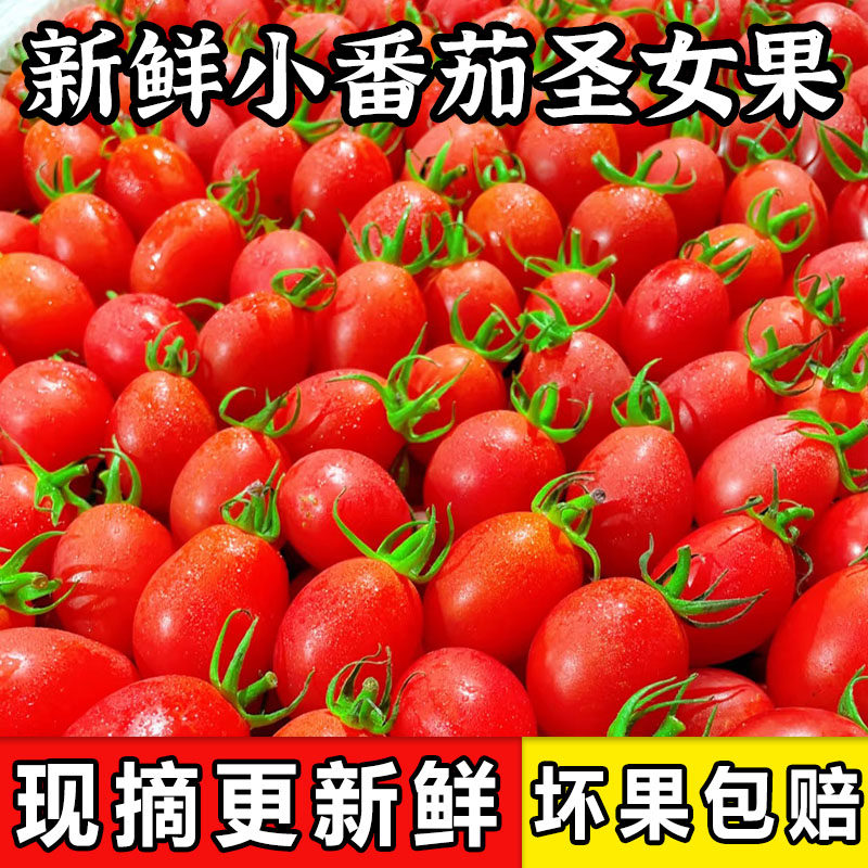 圣女果西红柿小番茄新鲜水果千禧樱桃柿子生吃自然熟蔬菜包邮5斤,水产肉类/新鲜蔬果/熟食,番茄,淘宝优惠券,粉丝福利购,淘宝优惠卷