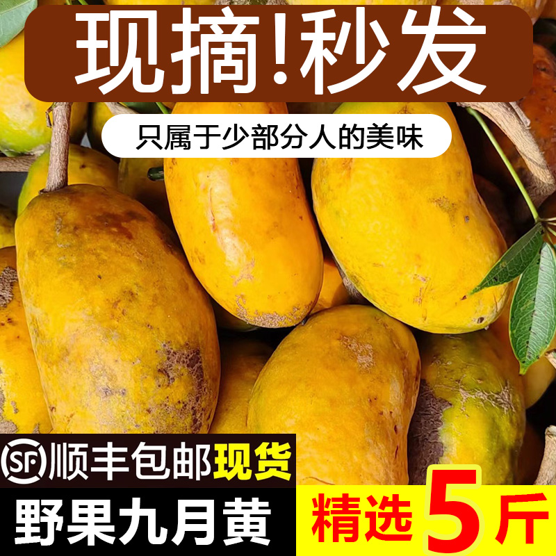 新鲜应季水果拿麻藤包牛卵坨