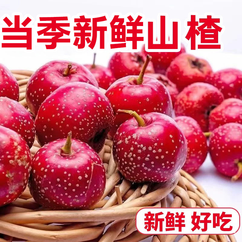 山楂山楂果新鲜5斤鲜山楂鲜果大山楂山里红果片冰糖葫芦专用山楂