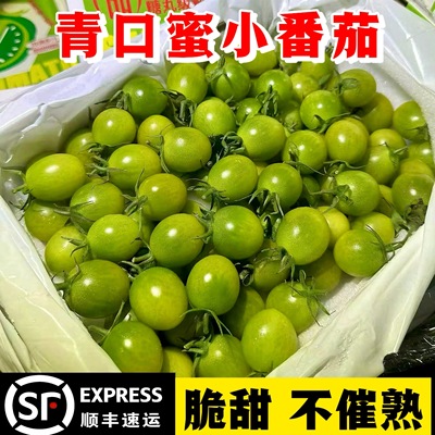 青口蜜圣女果绿色小番茄新鲜绿千禧甜即食小柿子生吃顺丰包邮