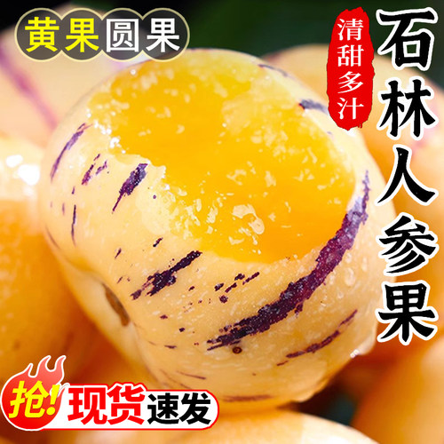 人参果新鲜云南石林人叁果5斤圆果人生果娃娃果七彩黄肉水果包邮9