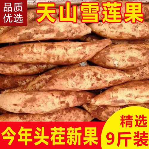 云南天山雪莲果新鲜水果红心一级10斤时令当季孕妇大果特级顺