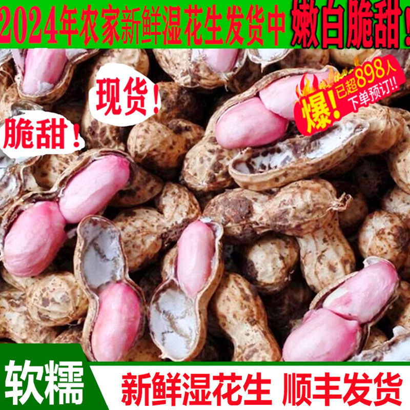 2024正宗当季新鲜带壳湿花生带泥巴生花生红皮粉皮现挖现发