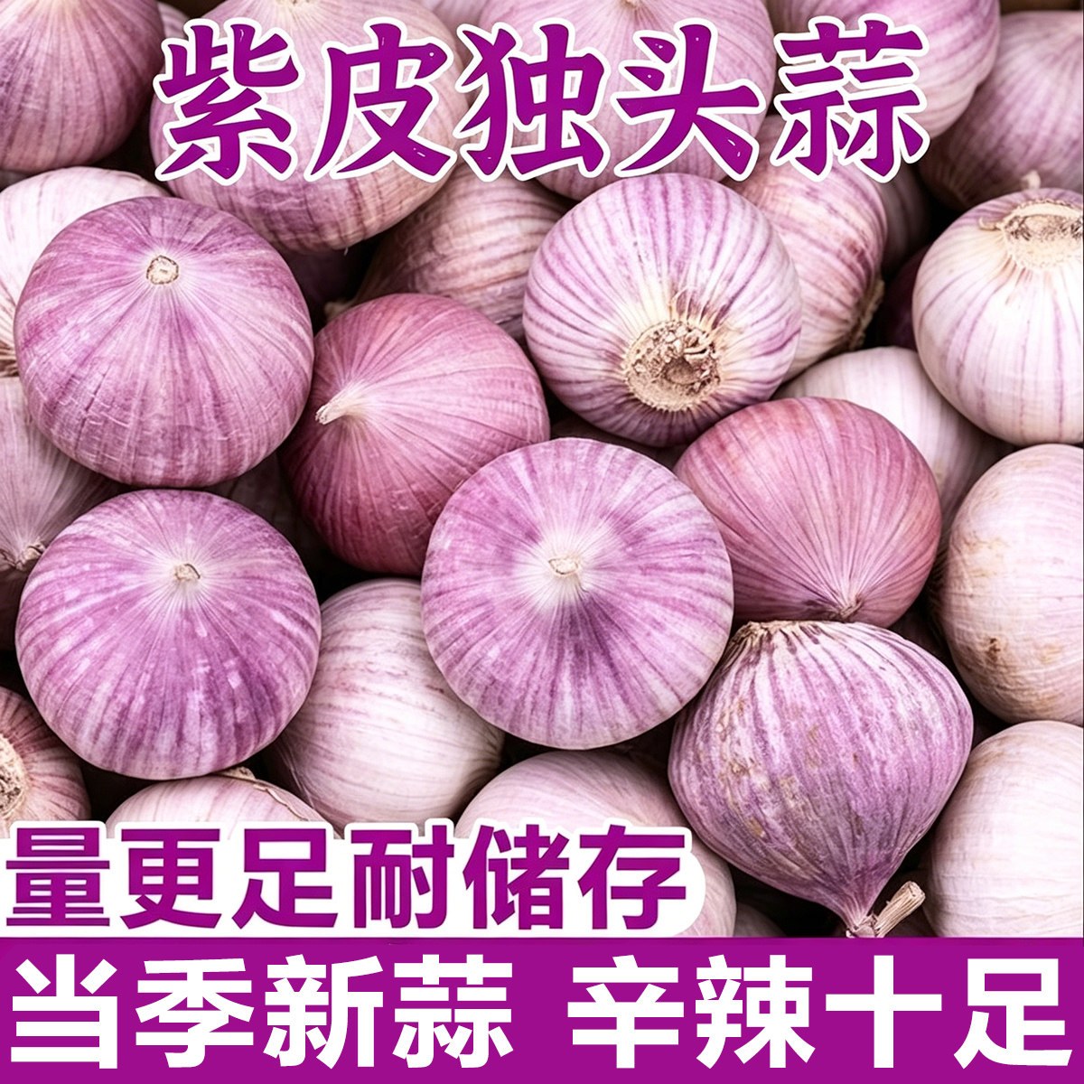 2026独头蒜干蒜大蒜头新鲜蒜紫皮圆头独蒜红辣蒜5斤蔬菜当季包邮