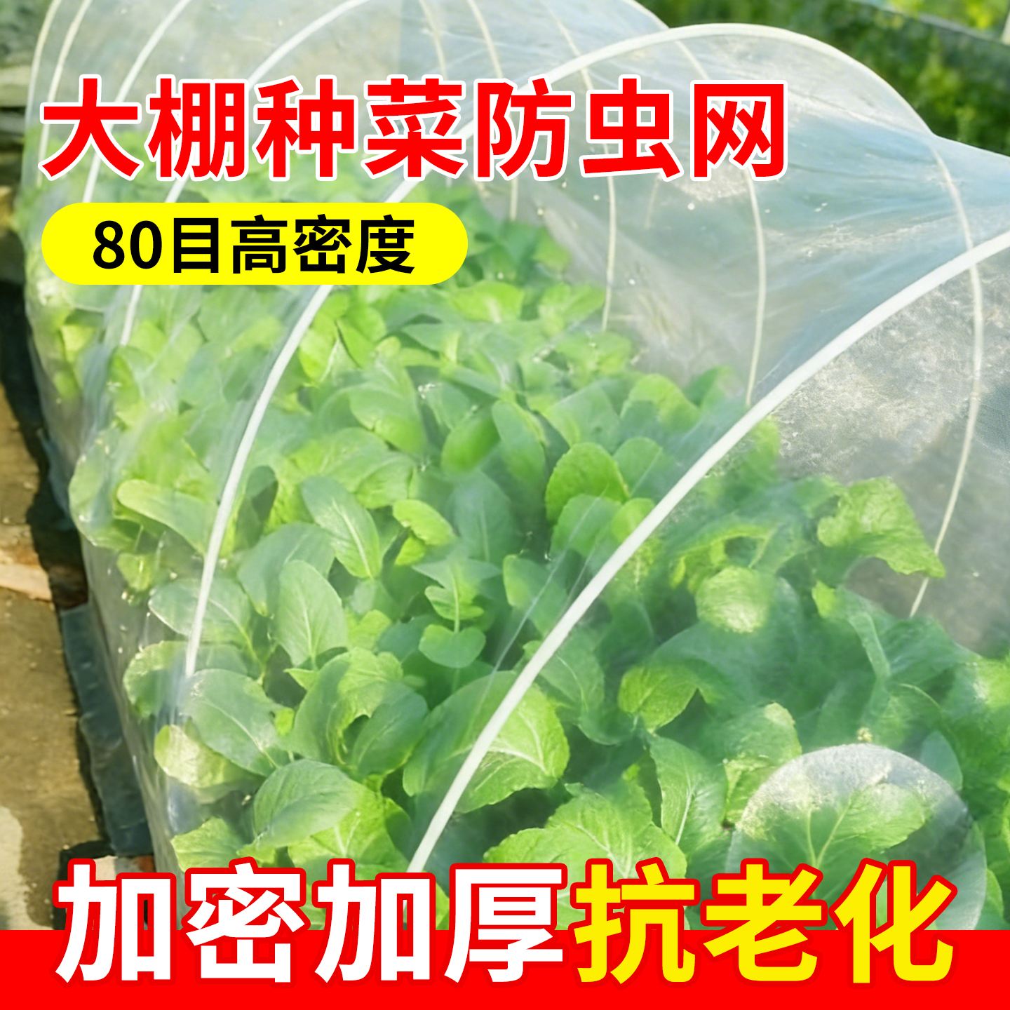 农用大棚专用防虫网果树防鸟网罩