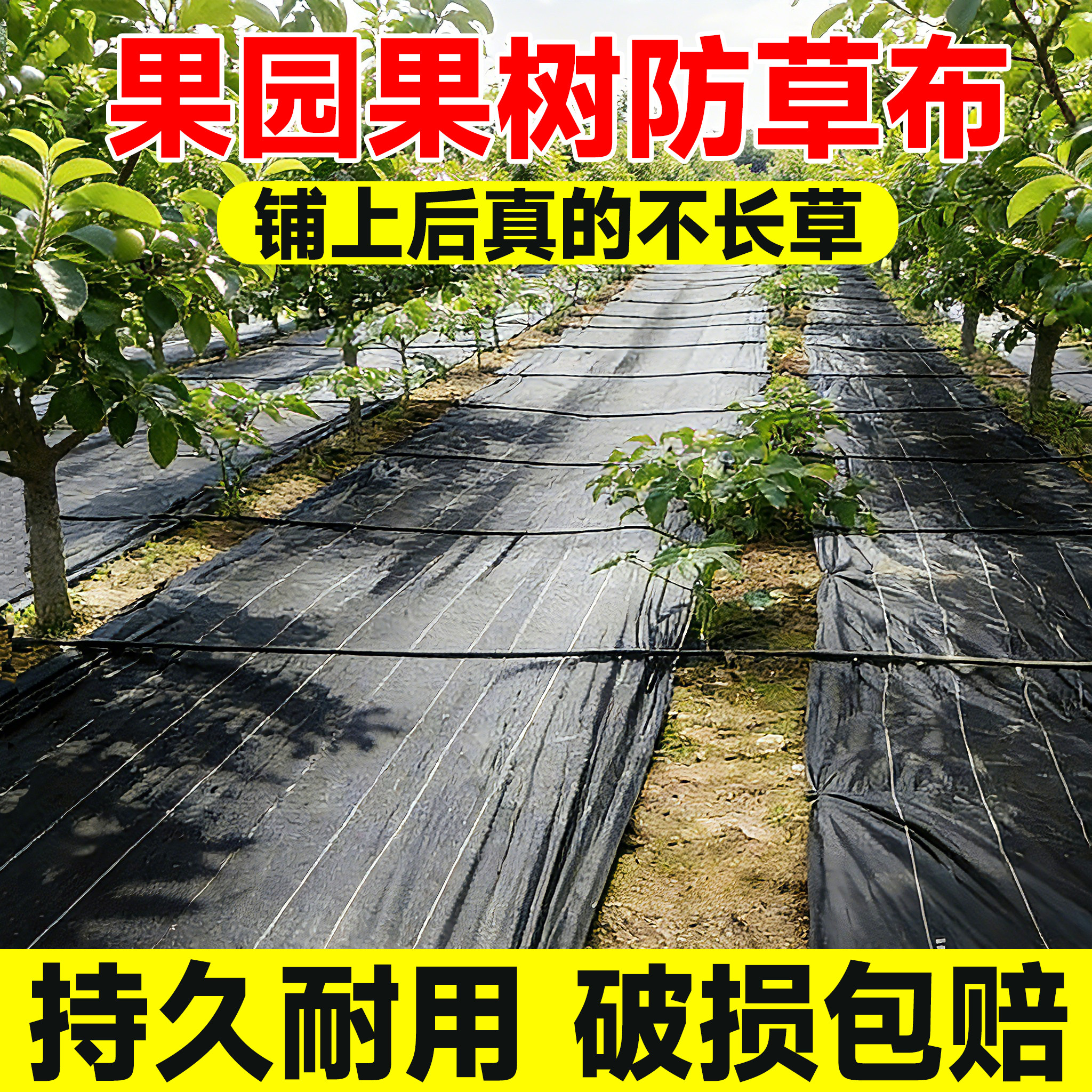 果园果树防草布除草布耐用新型抗老化遮草农用地布盖草布专用地膜