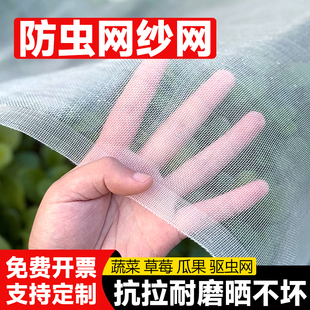 防虫网纱网大棚专用蔬菜防虫网农用果树网罩加厚菜地纱网盖菜地网