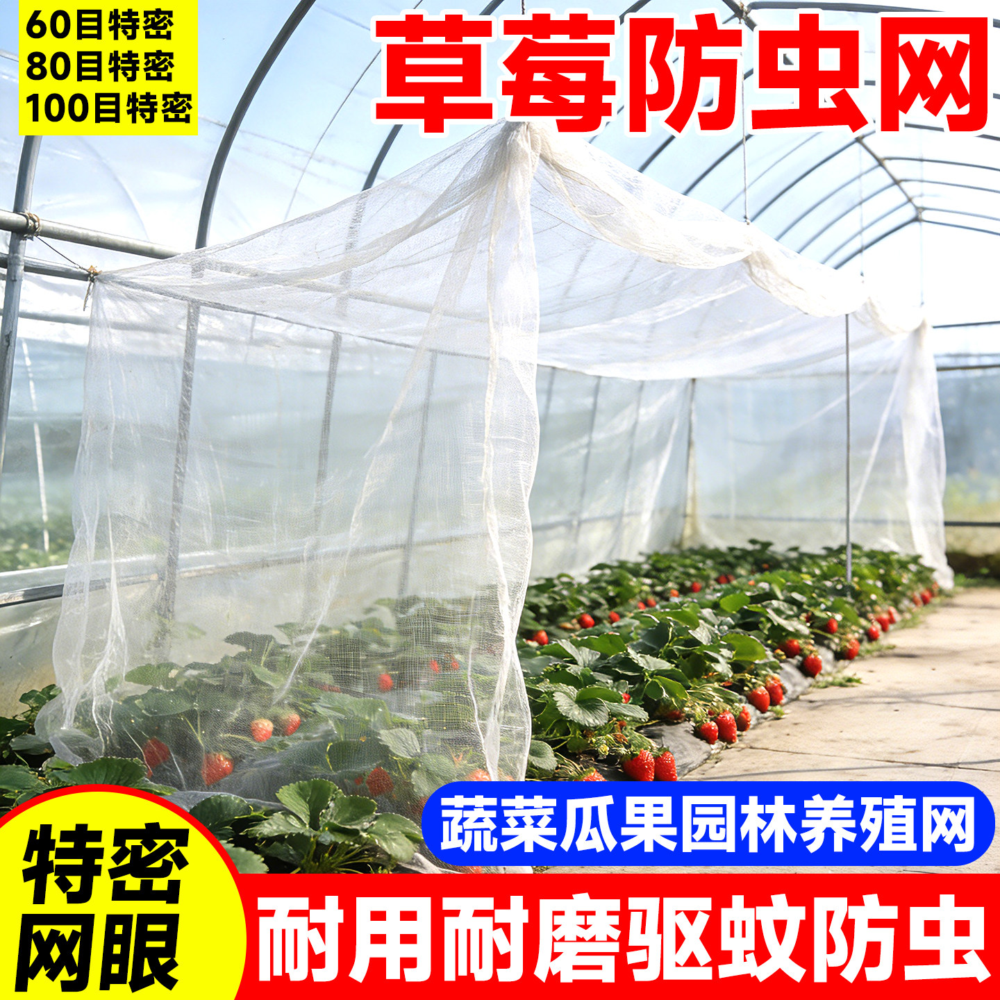 60目80目100目草莓防虫网蔬菜专用大棚果园网罩农用菜地加厚纱网,农机/农具/农膜,农用防虫网,淘宝优惠券,粉丝福利购,淘宝优惠卷