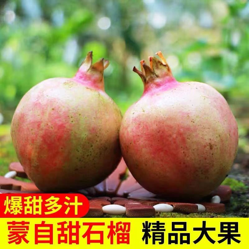 鲜回家云南蒙自薄皮水晶甜石榴 新鲜水果突5尼皮软整箱10斤硬籽斯