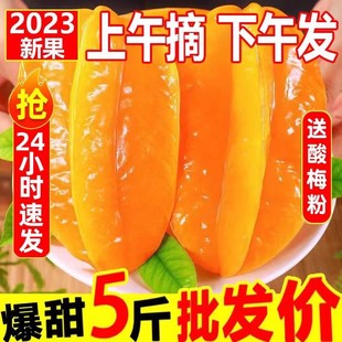 5斤当季 包邮 洋桃五角星水果时令阳桃 福建漳州甜杨桃新鲜水果整箱