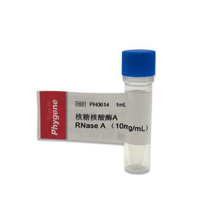 酶A1mLRNaseA10mg/mLDNasefree[PH0614PHYG1m