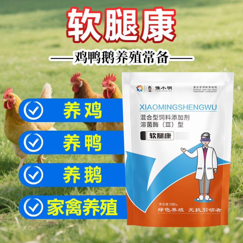 正品软腿康鸽鸭鹅浆膜专用软腿康鸡鸭鹅家禽鸡鸭鹅腿软无力