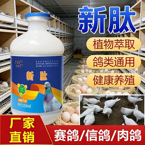 信鸽新肽 赛鸽新肽 鸽子新肽 正品 新肽鸽子 肉鸽用新肽