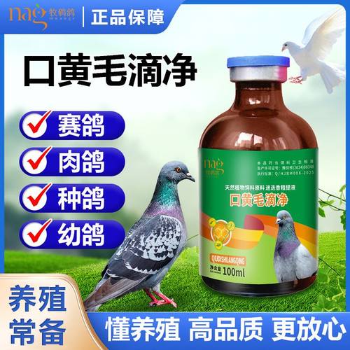 白点口黄毛滴 鸽子毛滴专用 口黄毛净 鸽子口黄净 鸽子毛滴